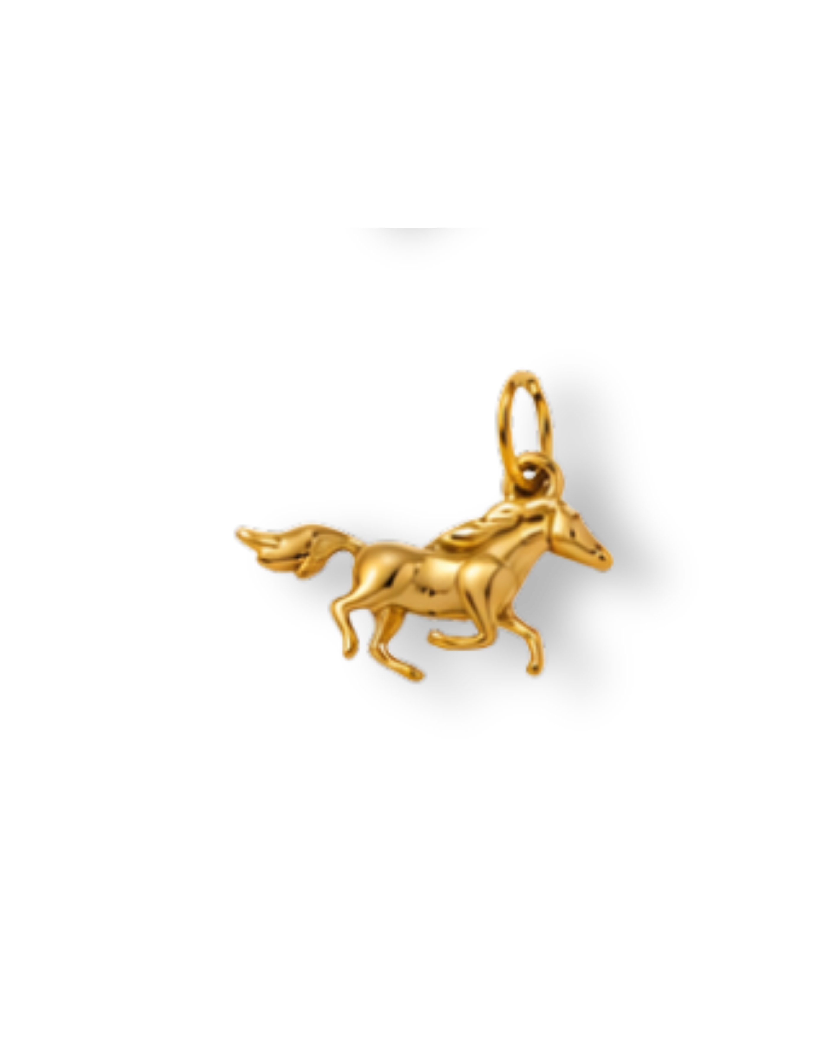 Premium Charms